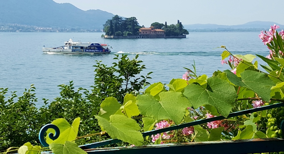 Isola San Paolo, lake boat, and grapevine